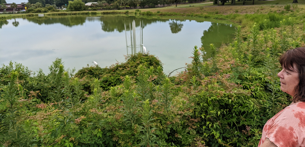 Sherie looks over a pond with white birds in the foliage